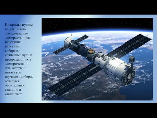 Но крылья нужны не для полёта – это «домашняя электростанция». Блестящие