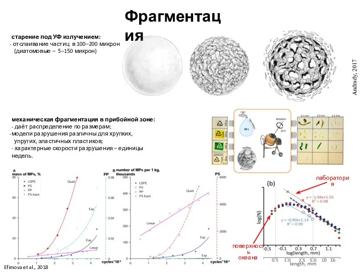 Efimova et al., 2018 механическая фрагментация в прибойной зоне: - даёт