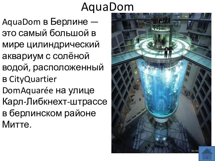 AquaDom AquaDom в Берлине — это самый большой в мире цилиндрический