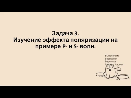 Задача 3. Изучение эффекта поляризации на примере P- и S- волн. Выполнили: Борисёнок Вероника Луканов Арслан