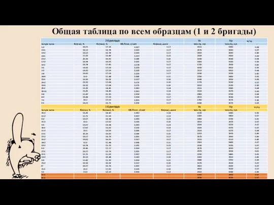 Общая таблица по всем образцам (1 и 2 бригады)