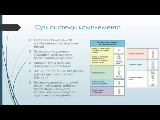 Суть системы комплемента Состоит из более чем 30 мембранных и растворимых