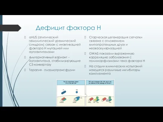 Дефицит фактора H aHUS (атипический гемолитический уремический синдром) связан с инактивацией