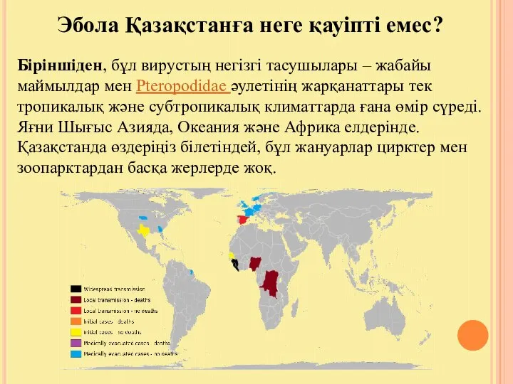 Эбола Қазақстанға неге қауіпті емес? Біріншіден, бұл вирустың негізгі тасушылары –