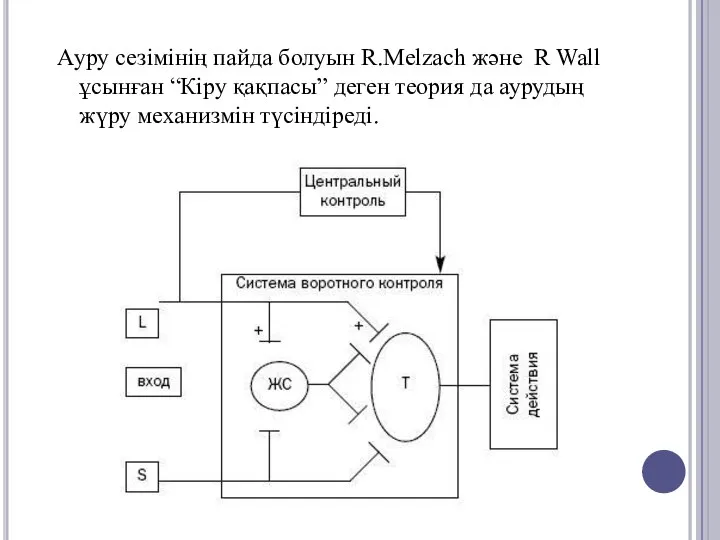 Ауру сезімінің пайда болуын R.Melzach және R Wall ұсынған “Кіру қақпасы”