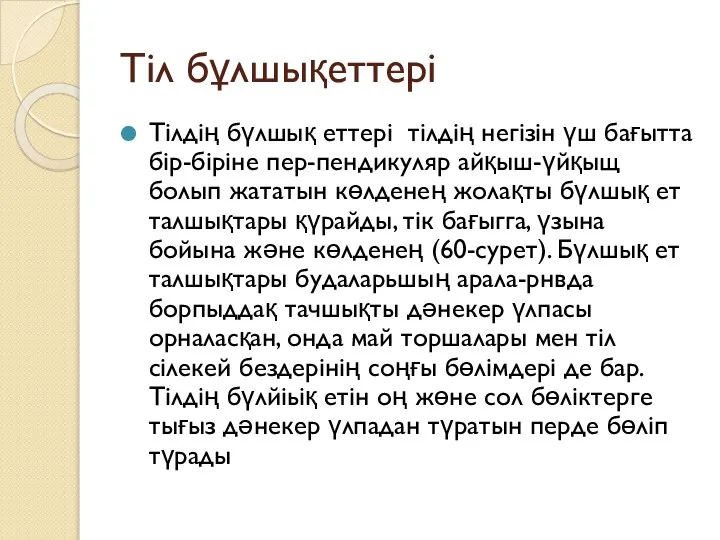 Тіл бұлшықеттері Тілдің бүлшық еттері тілдің негізін үш бағытта бір-біріне пер-пендикуляр