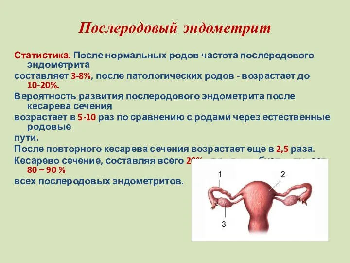 Послеродовый эндометрит Статистика. После нормальных родов частота послеродового эндометрита составляет 3-8%,