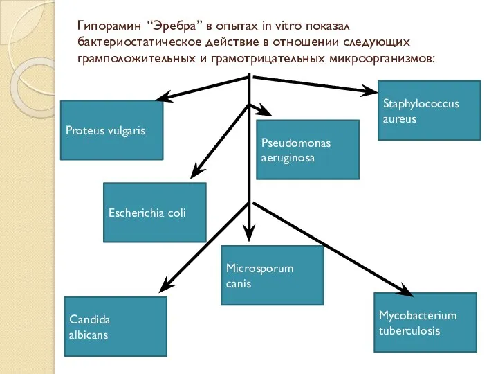 Гипорамин “Эребра” в опытах in vitro показал бактериостатическое действие в отношении