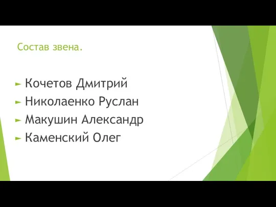 Состав звена. Кочетов Дмитрий Николаенко Руслан Макушин Александр Каменский Олег