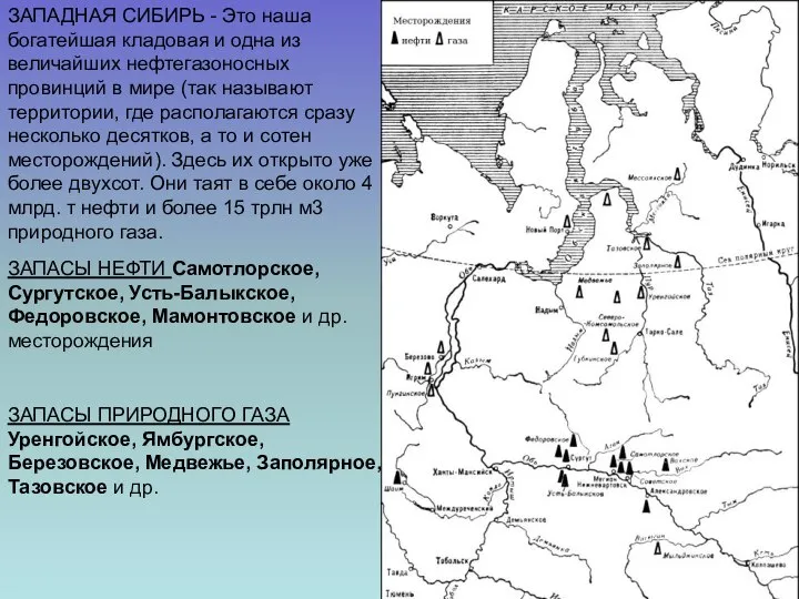 ЗАПАДНАЯ СИБИРЬ - Это наша богатейшая кладовая и одна из величайших
