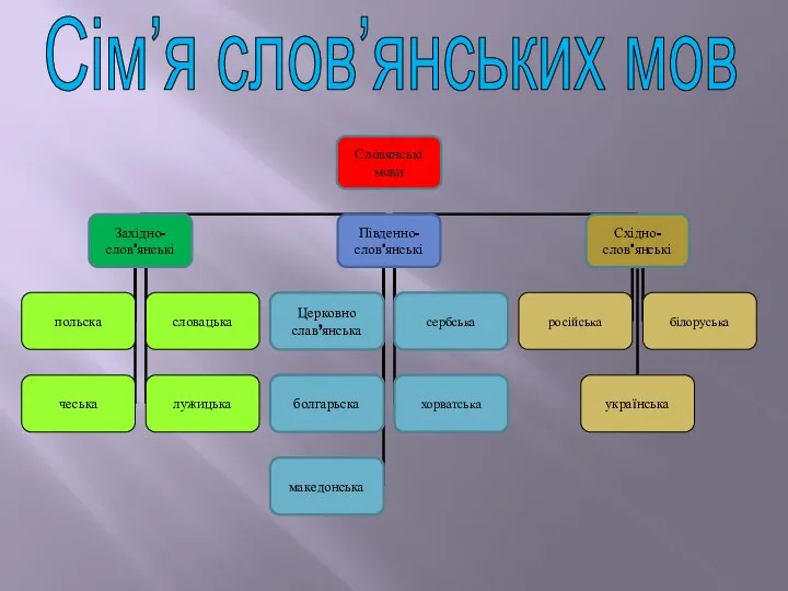 Сім’я слов’янських мов