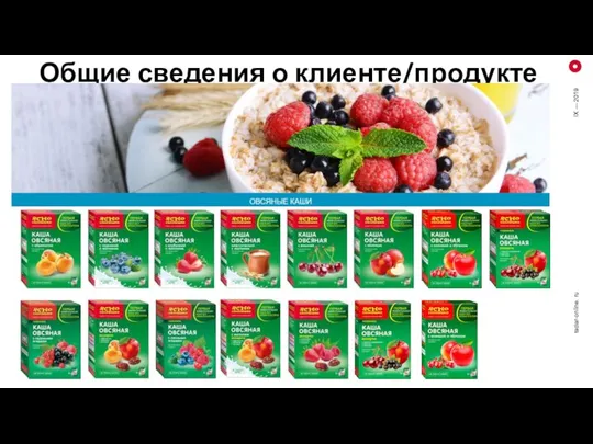 Общие сведения о клиенте/продукте radar-online. ru IX — 2019