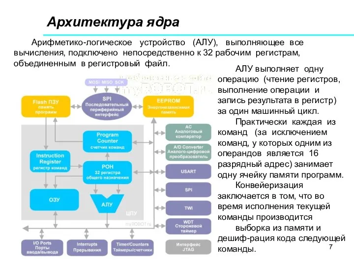 Архитектура ядра Арифметико-логическое устройство (АЛУ), выполняющее все вычисления, подключено непосредственно к