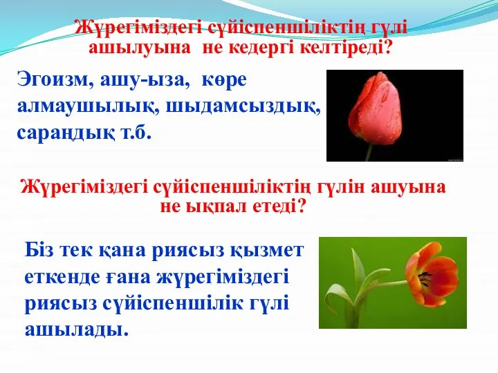 Жүрегіміздегі сүйіспеншіліктің гүлі ашылуына не кедергі келтіреді? Эгоизм, ашу-ыза, көре алмаушылық,