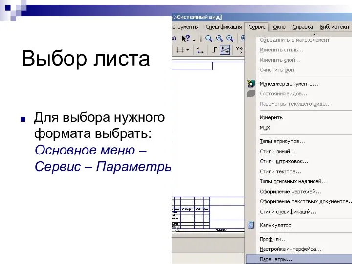 Выбор листа Для выбора нужного формата выбрать: Основное меню –Сервис – Параметры