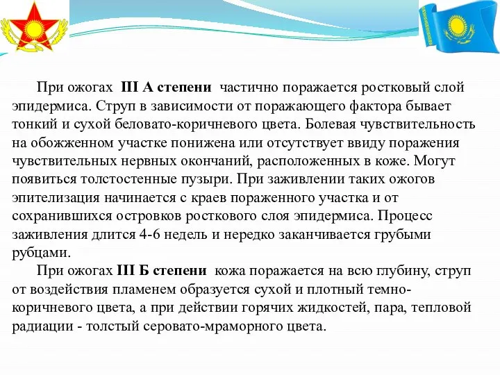 При ожогах III А степени частично поражается ростковый слой эпидермиса. Струп