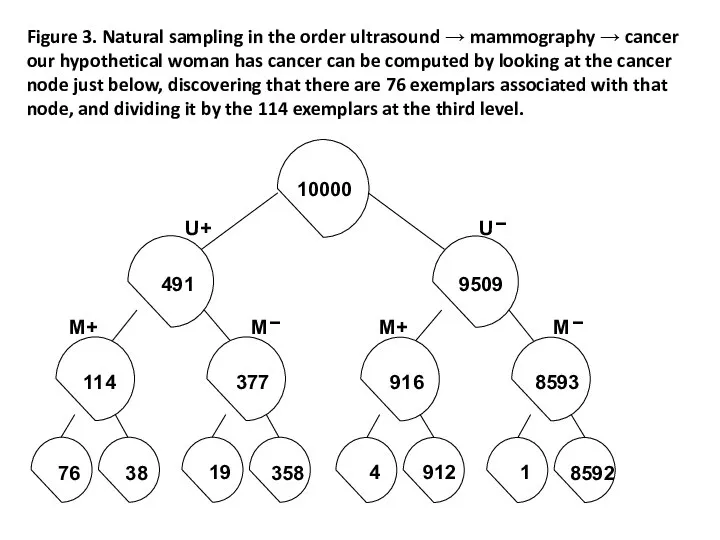 Figure 3. Natural sampling in the order ultrasound → mammography →