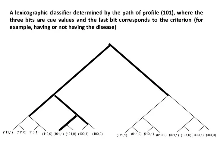 A lexicographic classifier determined by the path of profile (101), where