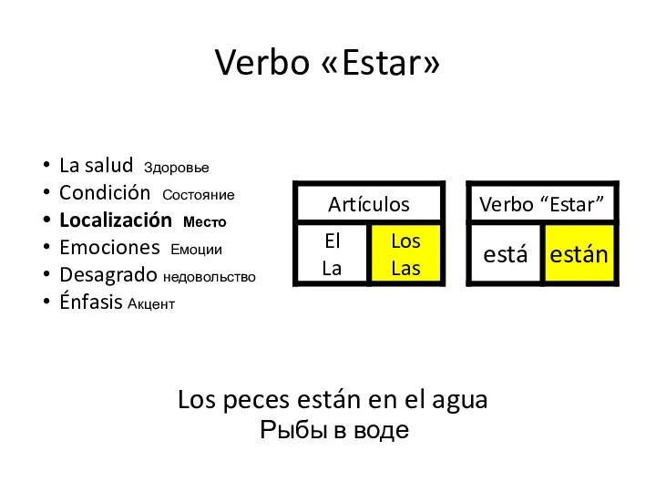 Verbo «Estar» Los peces están en el agua Рыбы в воде