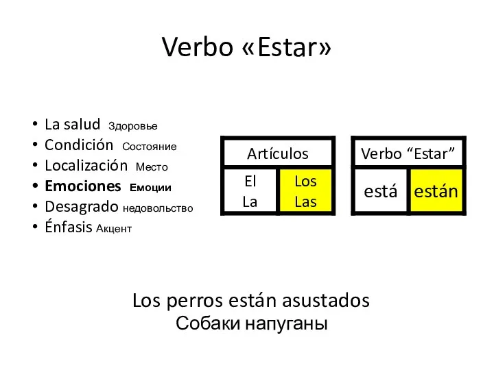 Verbo «Estar» Los perros están asustados Собаки напуганы La salud Здоровье