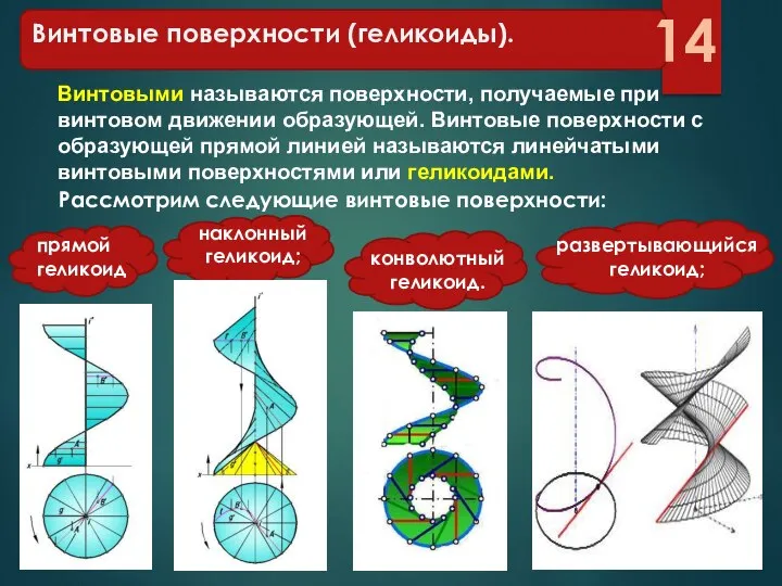 Винтовые поверхности (геликоиды). Винтовыми называются поверхности, получаемые при винтовом движении образующей.