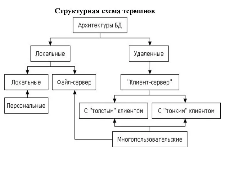 Структурная схема терминов