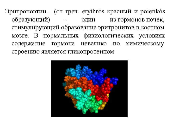 Эритропоэтин – (от греч. erythrós красный и poietikós образующий) - один