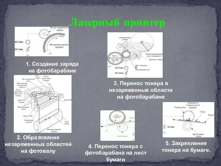 Лазерный принтер 1. Создание заряда на фотобарабане 2. Образование незаряженных областей