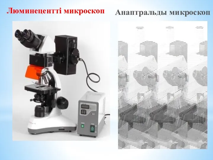 Люминецентті микроскоп Анаптральды микроскоп