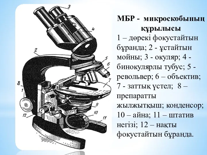 МБР - микроскобының құрылысы 1 – дөрекі фокустайтын бұранда; 2 -