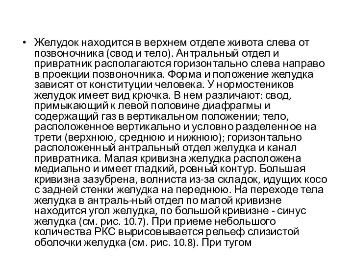 Желудок находится в верхнем отделе живота слева от позвоночника (свод и