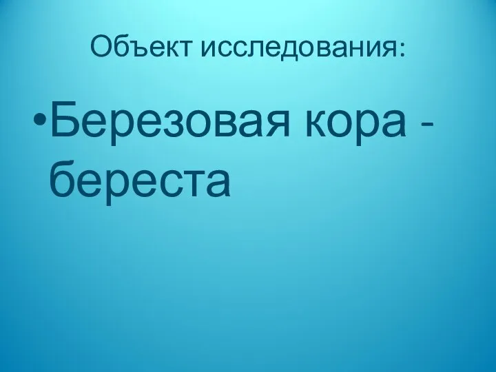 Объект исследования: Березовая кора - береста