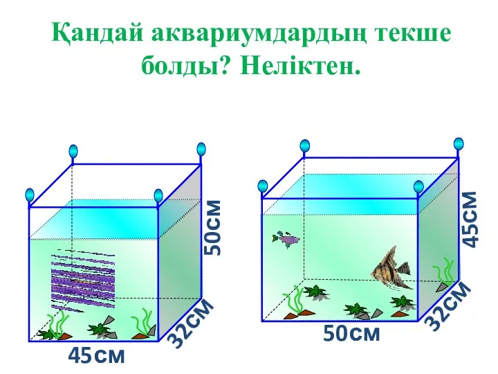 Қандай аквариумдардың текше болды? Неліктен. 45см 45см 50см 50см 32см 32см