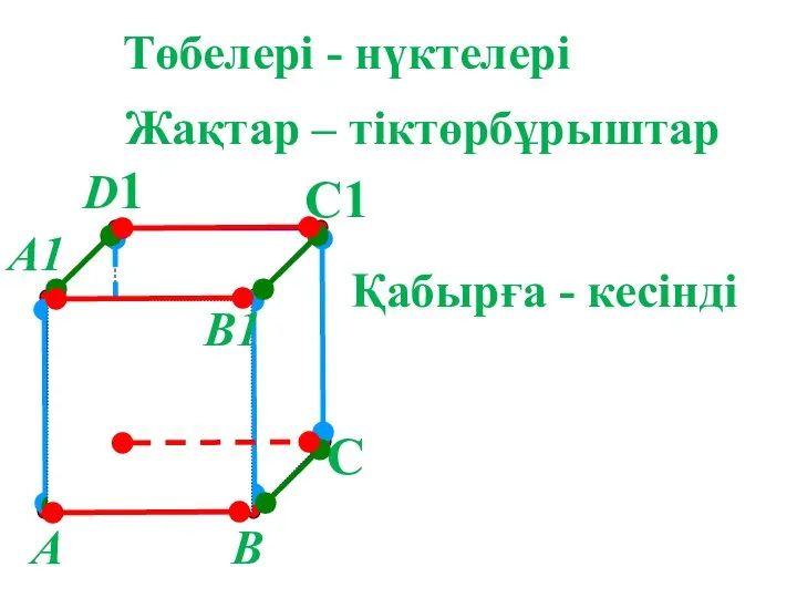 А В С D1 С1 Төбелері - нүктелері Жақтар – тіктөрбұрыштар