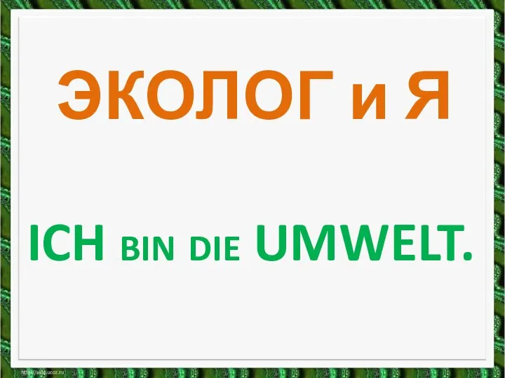 ICH BIN DIE UMWELT. ЭКОЛОГ и Я