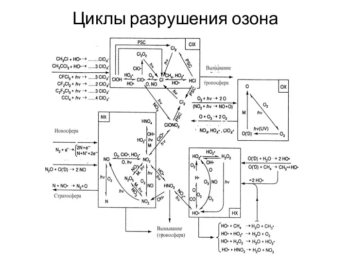 Циклы разрушения озона