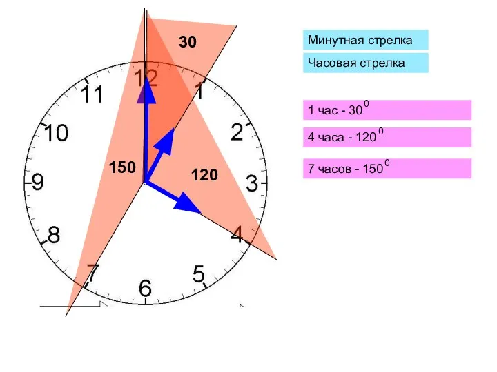 Минутная стрелка 1 час - 30 4 часа - 120 7