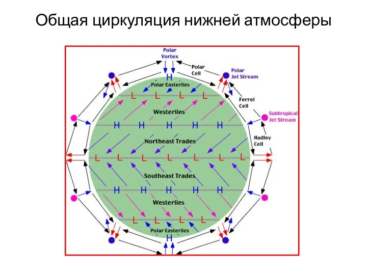 Общая циркуляция нижней атмосферы