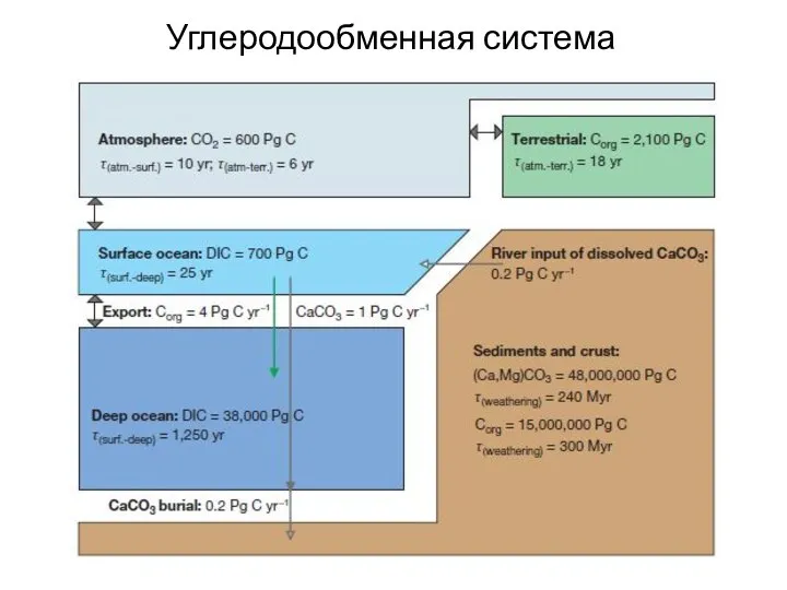 Углеродообменная система