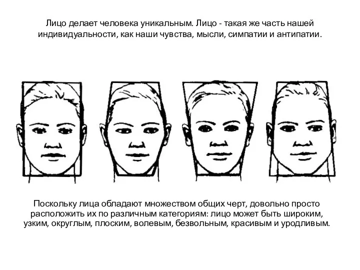 Поскольку лица обладают множеством общих черт, довольно просто расположить их по