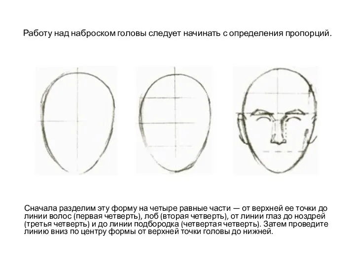 Работу над наброском головы сле­дует начинать с определения пропорций. Сначала разделим