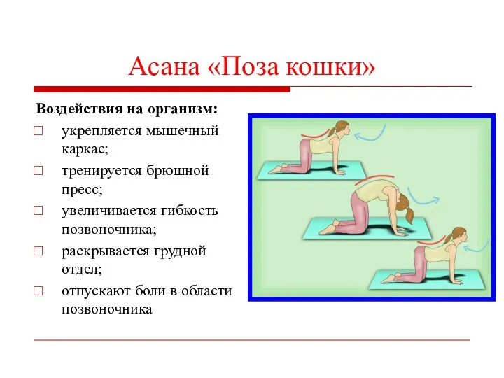 Асана «Поза кошки» Воздействия на организм: укрепляется мышечный каркас; тренируется брюшной