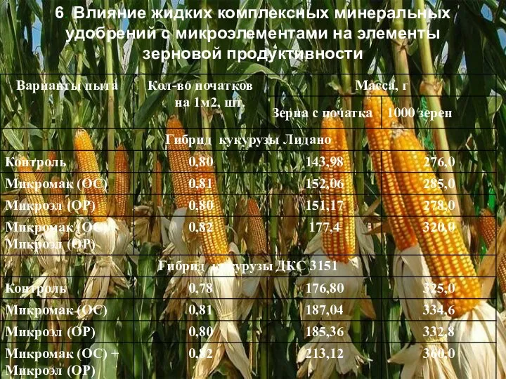 6. Влияние жидких комплексных минеральных удобрений с микроэлементами на элементы зерновой продуктивности