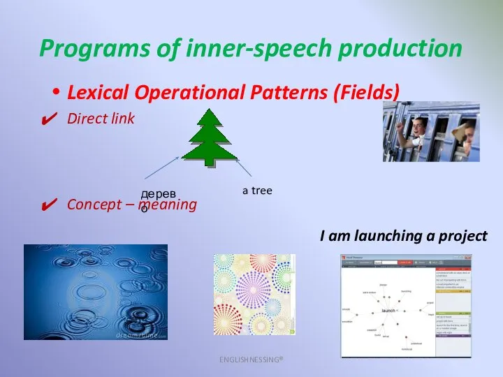 Programs of inner-speech production ENGLISHNESSING® Lexical Operational Patterns (Fields) Direct link