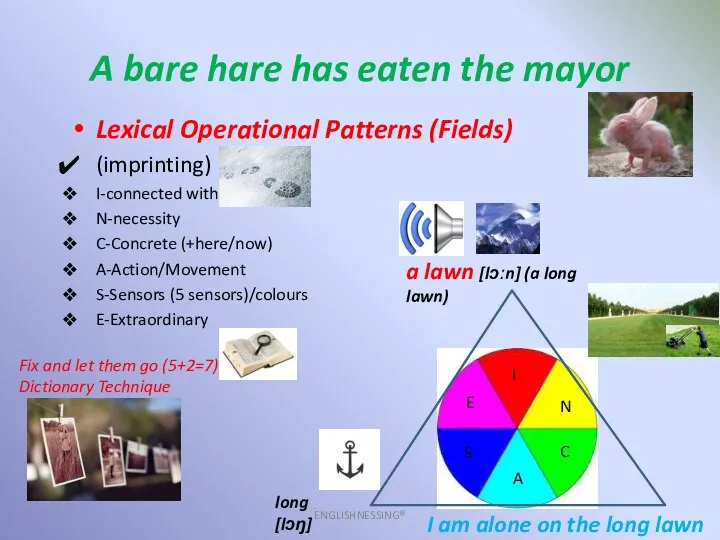 A bare hare has eaten the mayor ENGLISHNESSING® Lexical Operational Patterns