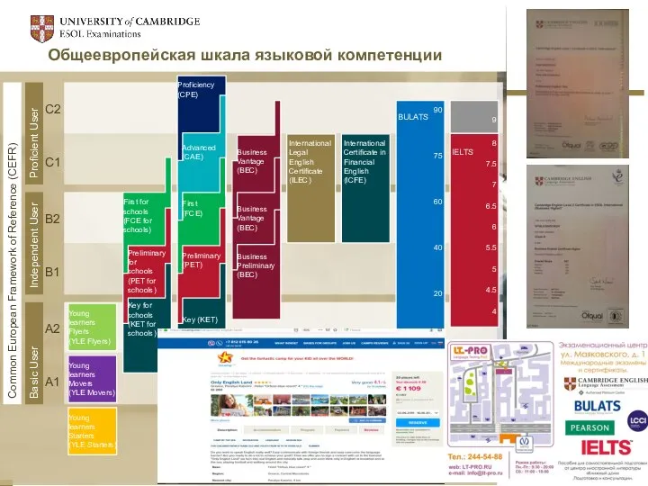 Общеевропейская шкала языковой компетенции Proficient User Common European Framework of Reference