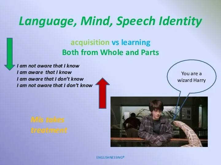 Language, Mind, Speech Identity ENGLISHNESSING® acquisition vs learning Both from Whole