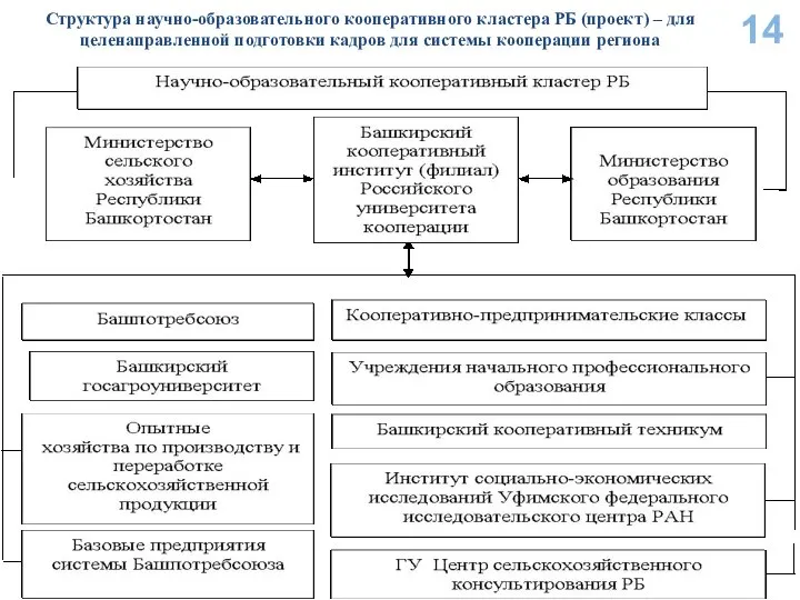 Структура научно-образовательного кооперативного кластера РБ (проект) – для целенаправленной подготовки кадров для системы кооперации региона 14