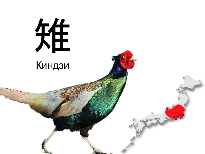 雉 Киндзи