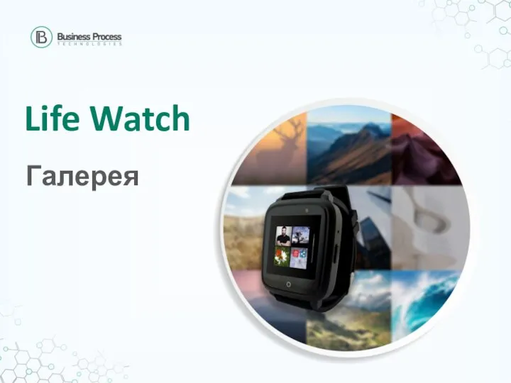 Life Watch Галерея